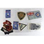 Poland - small collection of cloth badges, shoulder titles, small RAF silk flag signed by a Polish