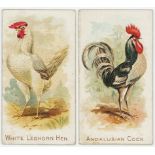 Allen & Ginter (U.S.A.) 1892, Prize & Game Chickens, part set 37/50, mixed condition, mainly about