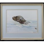 Blake, David. Gouache/watercolour study of an otter swiming. Signed lower right. Image measures