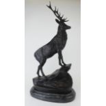 Large bronze study of a stag standing upon a rock. On a marble base. Signed J Moigni. Height