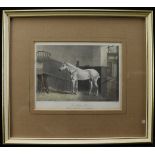 Hand tinted engraving titled 'The Grey Mare' - well known in Lincolnshire.Circa 1860. Print measures