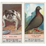Smith - Fowls, Pigeons & Dogs, complete set in large pages, VG cat value £700