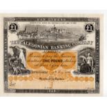 Scotland Lost Banks/Private Issues, Caledonian Banking Company 1 Pound PROOF, dated 15th May1891,