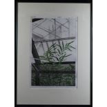 Beaver, Tessa (British b.1932) Limited edition screenprint titled Fern House in The Rain. Signed