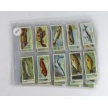 Churchman - Fishes of the World, complete set of 50, in pages, VG+ cat value £300