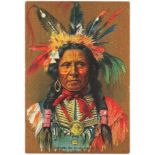 Silks - American Tobacco Co, type, Indian Portraits, canvas / oilcloth issue, P size 153 x 103 mm,