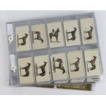 Cigarette card sets in sleeves x4 - Lucana Famous Racehorses, Churchman The Story of London, Well