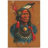 Silks - American Tobacco Co, type, Indian Portraits, canvas / oilcloth issue, P size 153 x 103 mm,