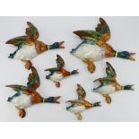 Beswick. Six Beswick mallard duck wall plaques, comprising 596-0, 596-1, 596-2, 596-3 & 596-4 (x 2)