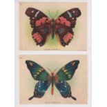 Tobacco silks, USA, ATC, Butterflies, 170mm x 117mm, all inscribed 'Factory No 649' (set, 6