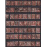 Stamps, GB QV 1841 1d red-brown imperf collection of 99 including 19 cancelled with a black MC.