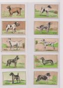 Trade cards, Edmondson's, Dogs (set, 20 cards) (a few with slight marks, some uneven trim, fair/gd)