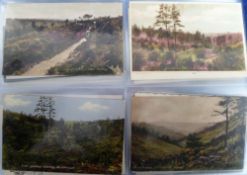 Postcards, a Surrey collection of approx. 185 cards inc. Fronsham, Hindhead, Grayshott, Haslemere,