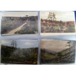 Postcards, a Surrey collection of approx. 185 cards inc. Fronsham, Hindhead, Grayshott, Haslemere,