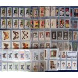Cigarette cards, a vast accumulation of cards, loose & in sleeves (1000's) with many different