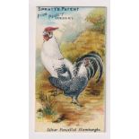 Trade card, Spratt's, Prize Poultry Series, type card, 'Silver Pencilled Hamburghs', back 'Turkey's,