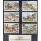 Trade cards, Liebig, a large modern album containing approx. 55 sets ranging from S950 to S998,