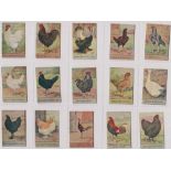 Trade cards, Spratt's, Poultry Series, 'K' size (set, 100 cards) (gd)