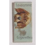 Cigarette card, Franklyn, Davey & Co, Comic Dog Folder, scarce (gd) (1)