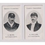 Cigarette cards, Taddy, County Cricketers, Nottinghamshire, two cards, J. Gunn & A. Hallam (vg) (2)