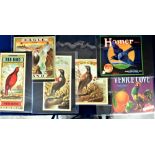 Advertising, 8 colourful vintage American fruit and tobacco crate labels depicting birds to