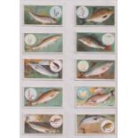 Cigarette cards, Churchman's, Fish & Bait (set, 50 cards) (vg)