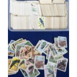Trade cards, Australia, Tuckfield's, accumulation of approx. 1500 Australiana Bird Series cards,