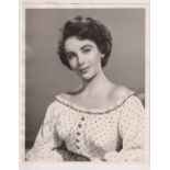 Autograph, Elizabeth Taylor, b/w photo, 8" x 10" showing Taylor in spotted dress, signed & dedicated