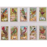 Cigarette cards, Wills (Australia), Birds of Australasia (Green, mixed backs) (set, 100 cards) (a