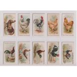 Cigarette cards, USA, Allen & Ginter, Prize & Game Chickens (set, 50 cards) (some slight age toning,