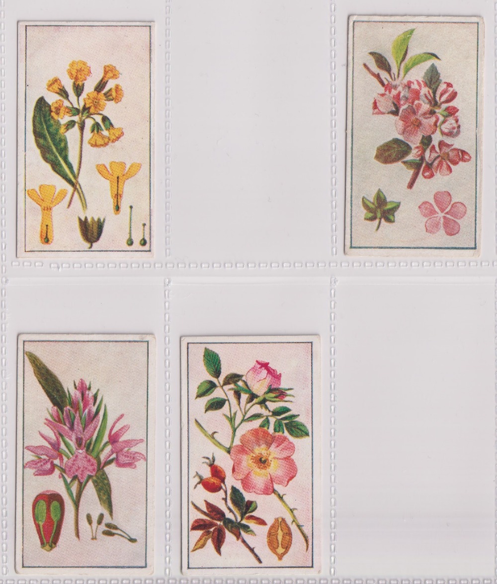 Cigarette cards, Robinson & Sons, Wild Flowers, (23/25, missing nos 8, & 22) (few with sl marks to - Image 5 of 6