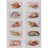 Trade cards, Cerebos, Sea Shells, ( brown, mixed backs) (set, 100 cards) (mixed condition, fair/gd)