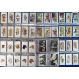 Cigarette cards, Dogs, a selection of 7 sets, Major Drapkin & Co, Dogs & their Treatment (set, 15
