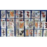 Poultry, The Feathered World, 50 cards (post card backs and printed backs) showing various breeds of