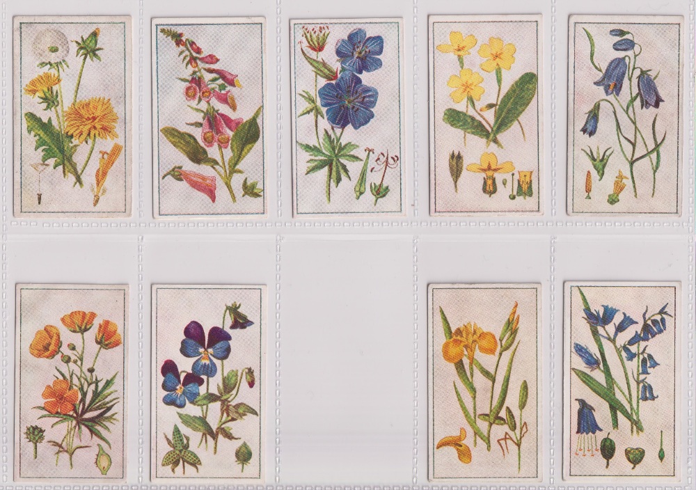 Cigarette cards, Robinson & Sons, Wild Flowers, (23/25, missing nos 8, & 22) (few with sl marks to