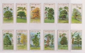 Trade cards, Cadbury's, British Trees Series (set, 12 cards) (fair/gd)