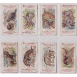 Cigarette cards, Hignett's, Animal Pictures, 8 cards, Beaver, Flying Squirrel, Jaguar, Raccoon,