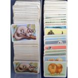 Trade cards, Australia, Tuckfield's, selection of 200+ cards, Animals (approx. 185), Fish (approx.