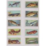 Cigarette cards, ITC (Canada), Fishes of the World (set, 50 cards) (vg)