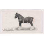 Cigarette card, Taddy, Famous Horses & Cattle, type card, no 32, Shire Stallion, 'Warton
