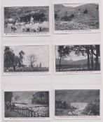 Trade cards, New Zealand Meat Producers Board, Scenes of New Zealand Lamb, 'X' size, 1930 (set, 25