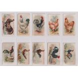 Trade cards, USA, Philadelphia Confections, Prize & Game Chickens (as Allen & Ginter) (set, 50