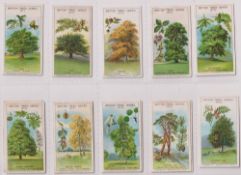 Trade cards, Cadbury's, 2 sets, British Trees Series (12 cards), & Cathedral Series (12 cards)