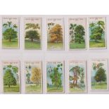 Trade cards, Cadbury's, 2 sets, British Trees Series (12 cards), & Cathedral Series (12 cards)