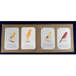 Trade cards, Capern's, Cage Birds, 'P' size, a special corner-mount album containing 48 different