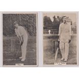 Cigarette cards, Phillip's, Cricketers (Premium issue) 2 cards, 16C Hobbs, J B (age toning to back