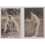 Cigarette cards, Phillip's, Cricketers (Premium issue) 2 cards, 17C H Strudwick & 19C Sandham,