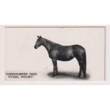 Cigarette card, Taddy Famous Horses & Cattle, type card, no 8, Thoroughbred Mare 'Rydal Mount' (sl