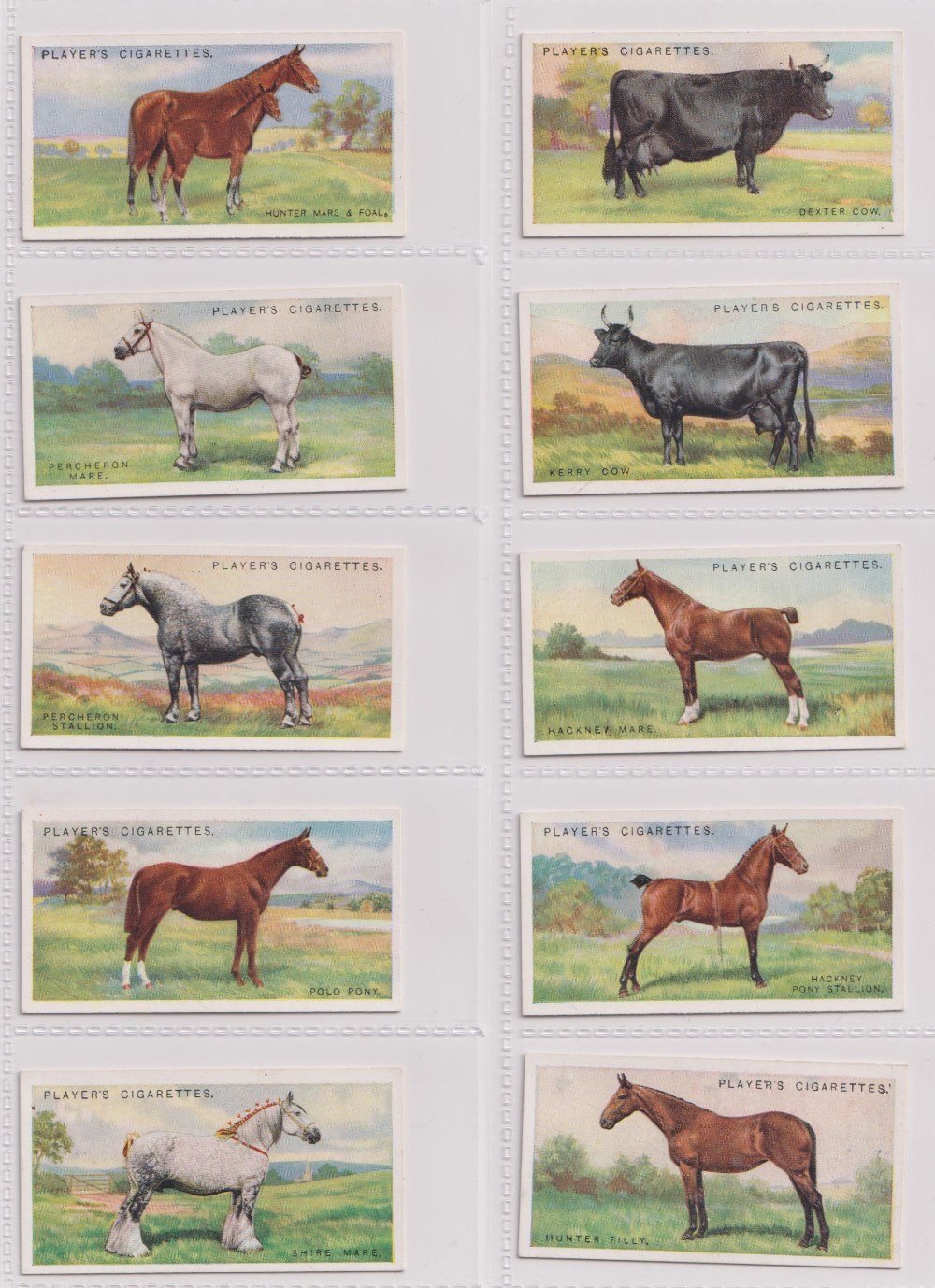 Cigarette cards, Player's, two sets, British Live Stock (Overseas) 'L' size (25 cards) & Live - Image 3 of 4