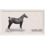 Cigarette card, Taddy, Famous Horses & Cattle, type card, no 39, Hackney Mare 'Adbolton St Mary', (